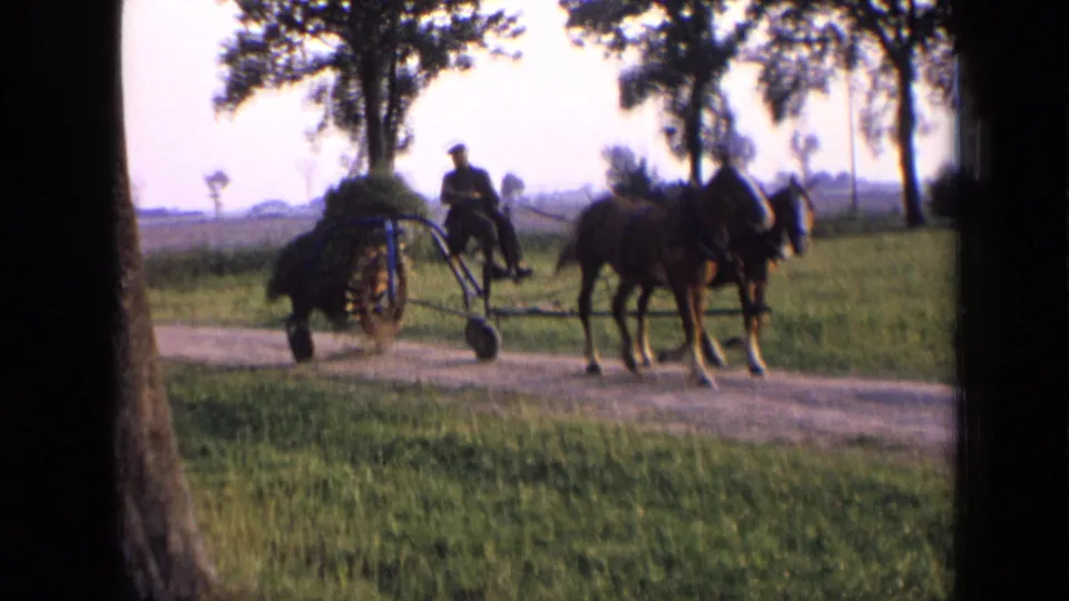 In rural Russia, 1963, two horses pull a wheeled farm implement with a seated man along a dirt road beside grassy fields.