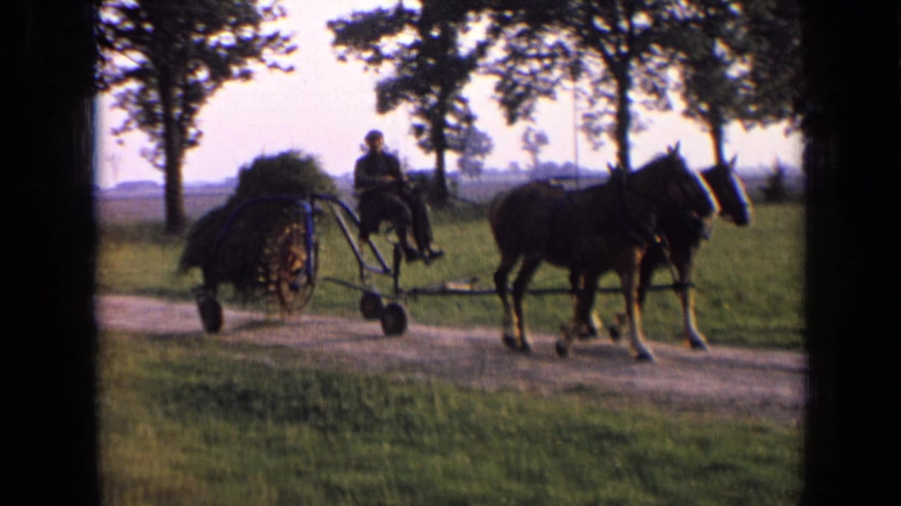 A man rides behind two horses pulling farm equipment along a rural road.
