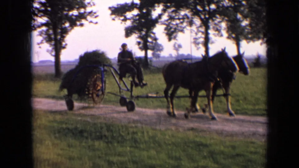 A man in a cap rides a horse-drawn farm implement along a dirt road in rural Russia, with trees and open fields in the background.