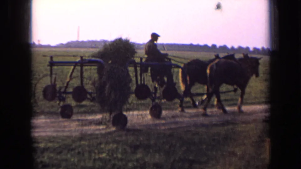 A side view shows the man riding behind the two horses as they pull a wheeled farm implement across the rural Russia landscape.