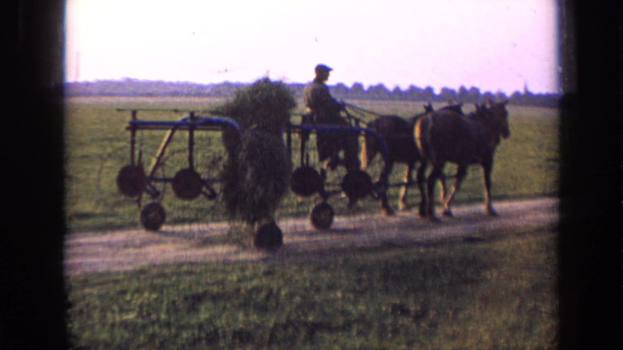 Farmer drives two horses pulling a hay-laden farm implement along a dirt road.
