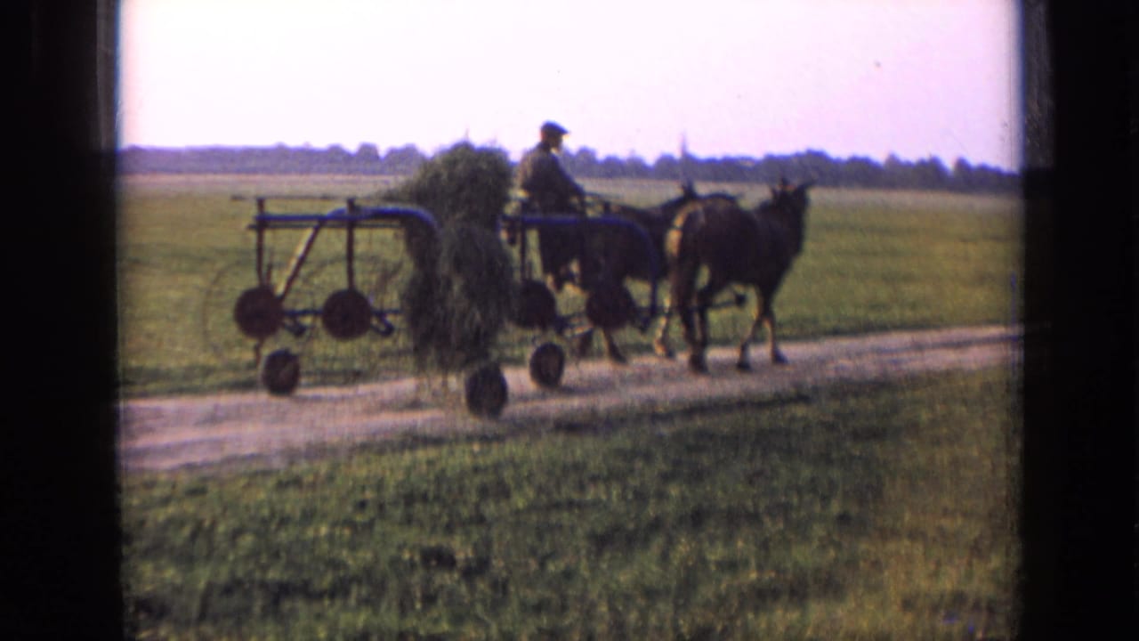 Two horses pull a farm implement with a seated farmer along the roadside.