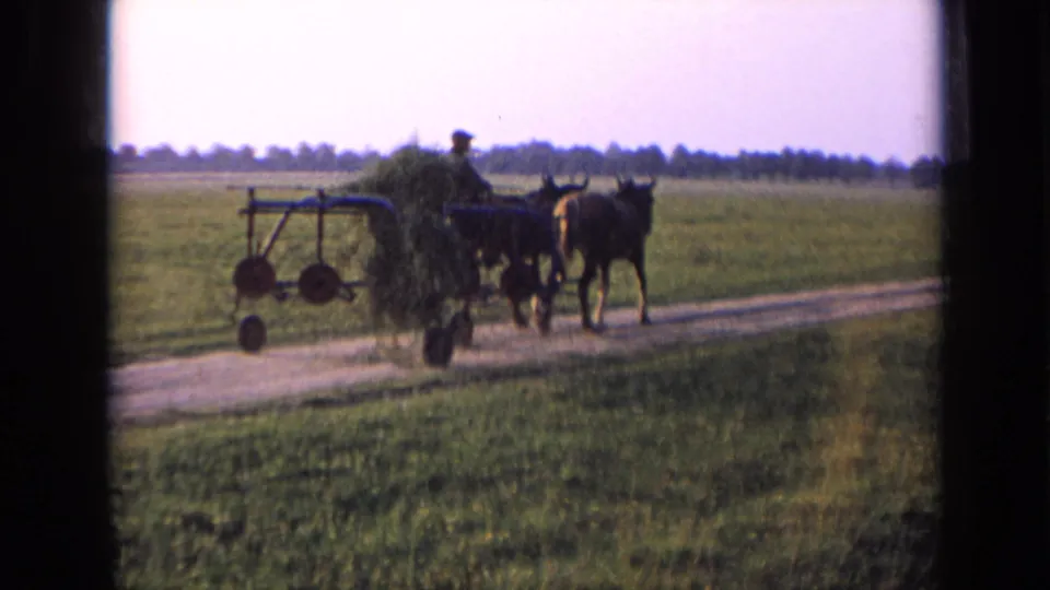 The farmer and two-horse team move farther down the rural dirt road, with fields and a low horizon behind them.