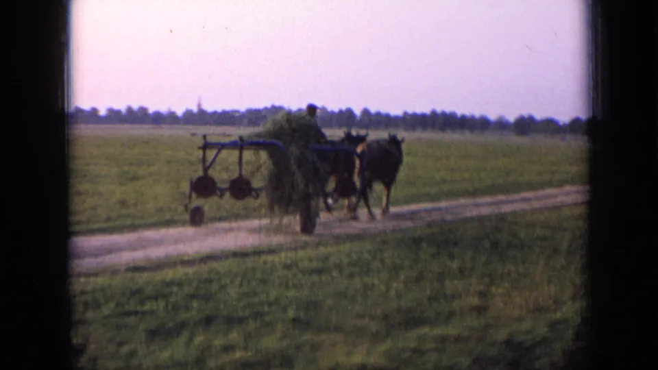 At the end of the clip, the farmer, horses, and wheeled implement are farther from camera on a rural Russian dirt road.