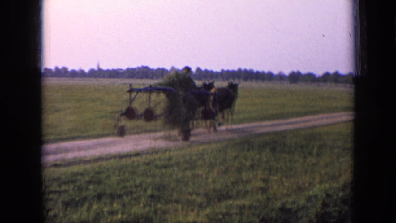 Two horses pull a small cart along a rural dirt road beside green fields.