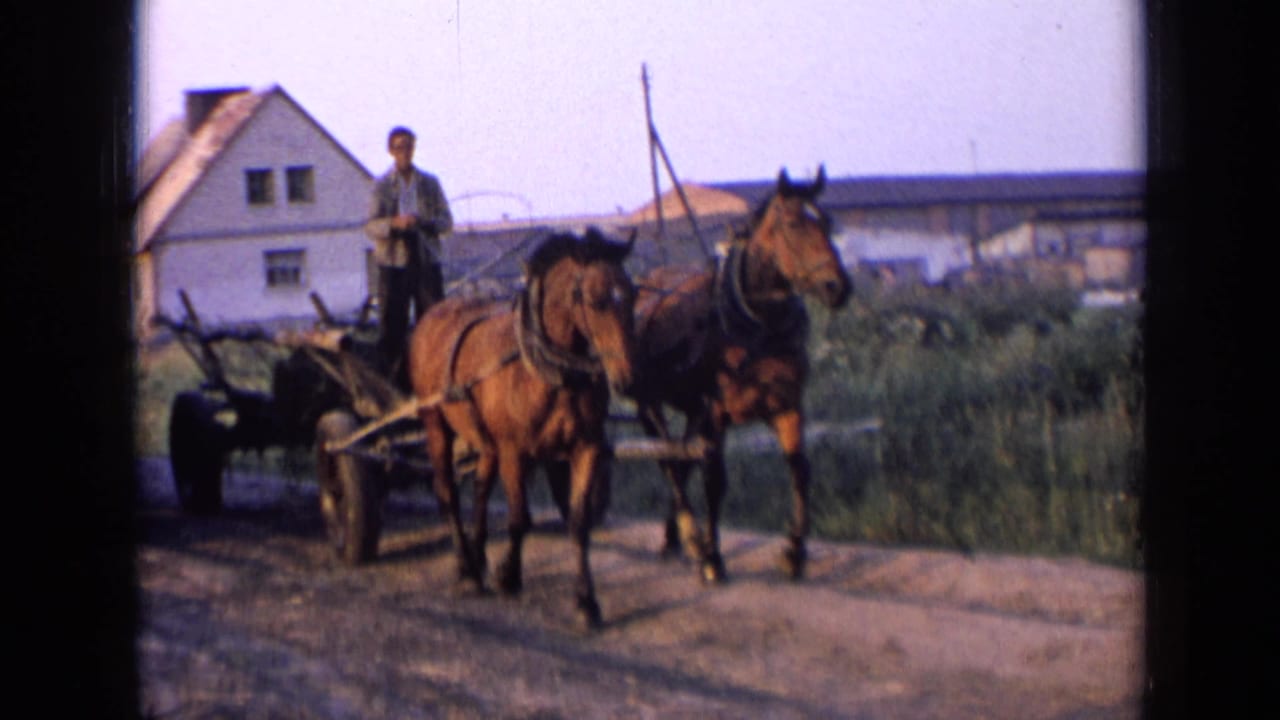 Two bay horses pull a wooden wagon with a man driving on a rural road.