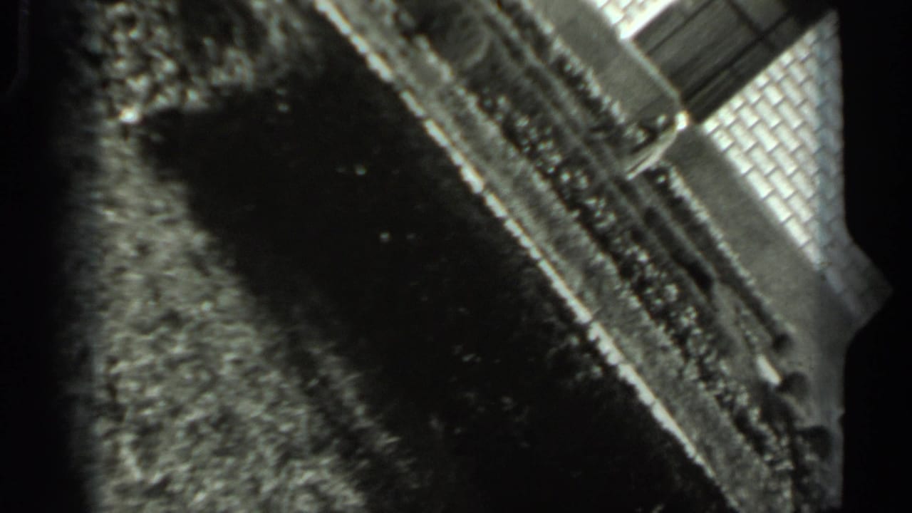 Soft 1963 Russian home-movie frame showing a hedge-lined garden area and part of a brick structure.