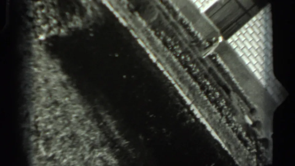 Soft 1963 Russian home-movie frame showing a hedge-lined garden area and part of a brick structure.