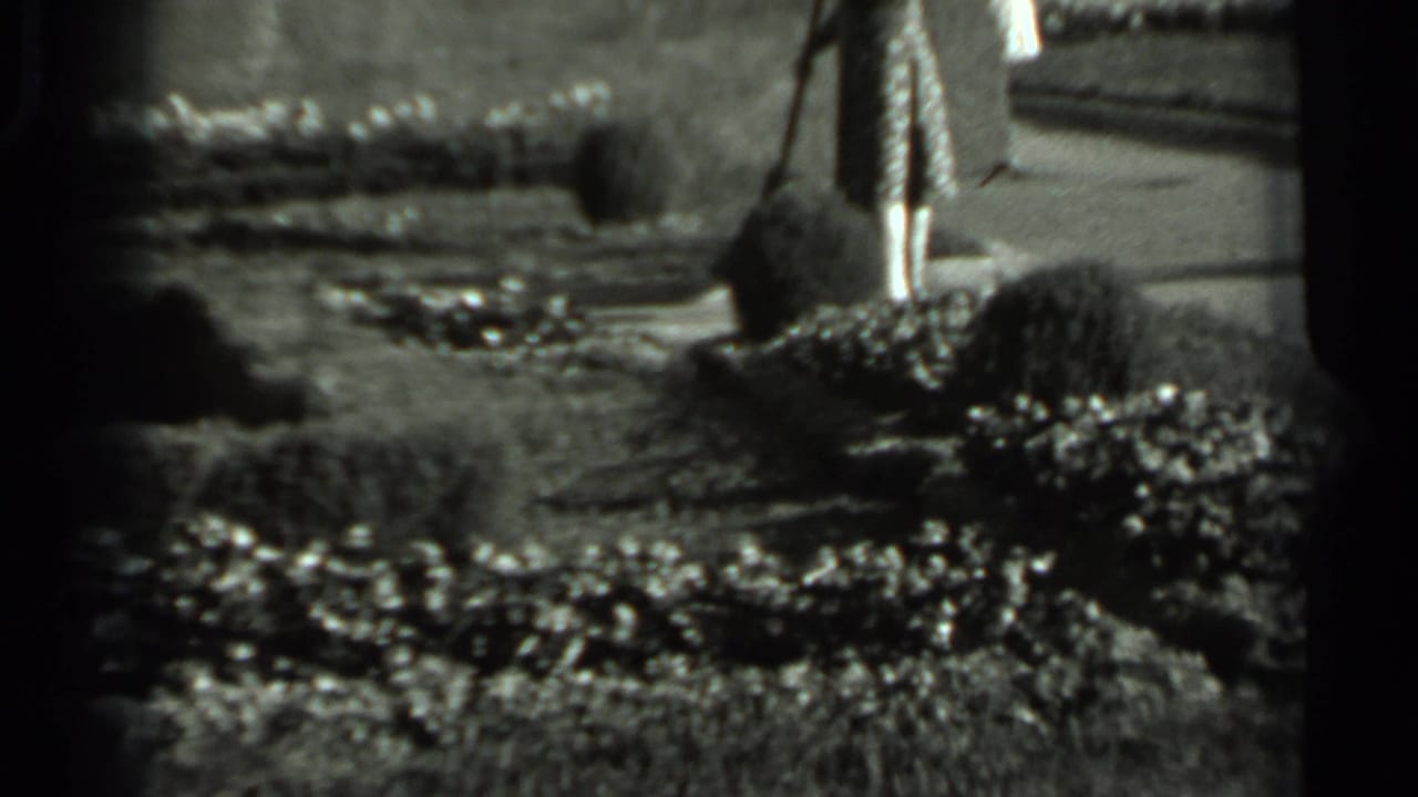 Woman in a patterned dress sweeping beside shrubs and a garden path.