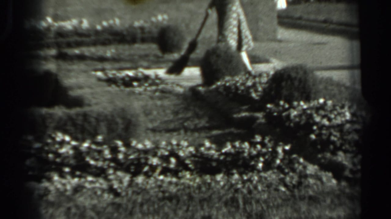 Woman sweeping a garden path near low shrubs and a wall.