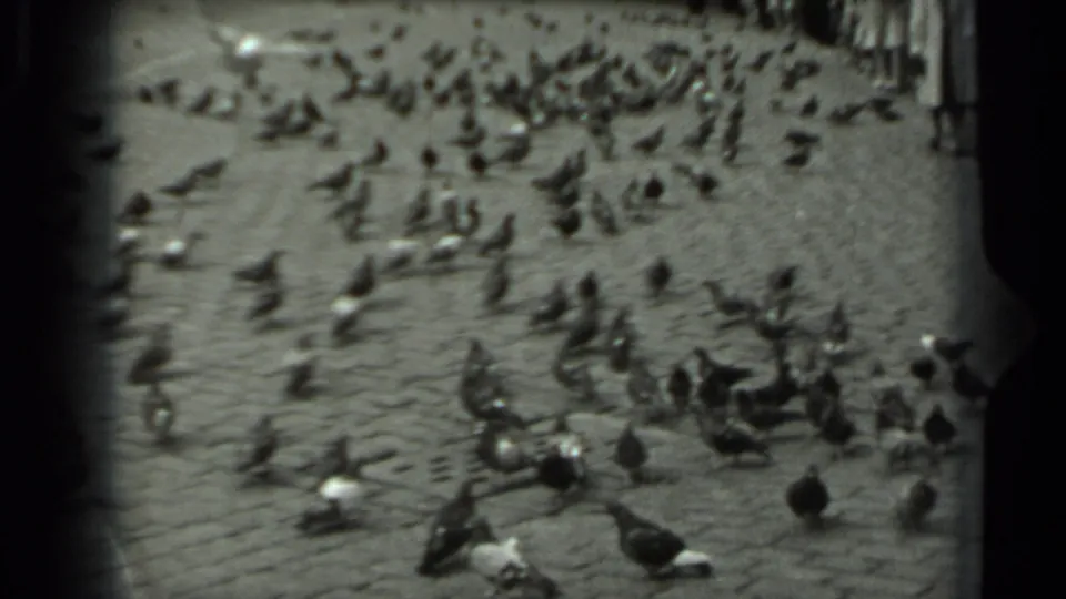 A wide 1963 Russia home-movie view shows pigeons scattered across cobblestones in a public square, with people partly visible nearby.