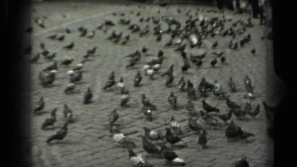 1963 Russia home-movie frame showing pigeons spread across cobblestones as a distant crowd gathers near the edge of the square.