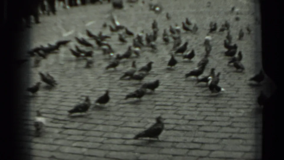 1963 Russian city-square footage with pigeons in the foreground and a distant public crowd along the upper edge.