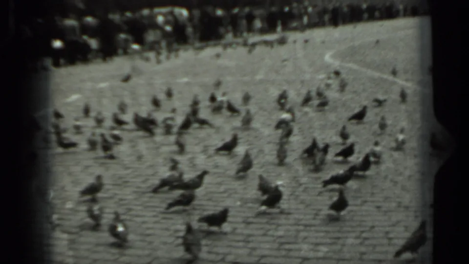 Archival 8mm frame from Russia in 1963 showing a flock of pigeons on a cobblestone square before a distant crowd.