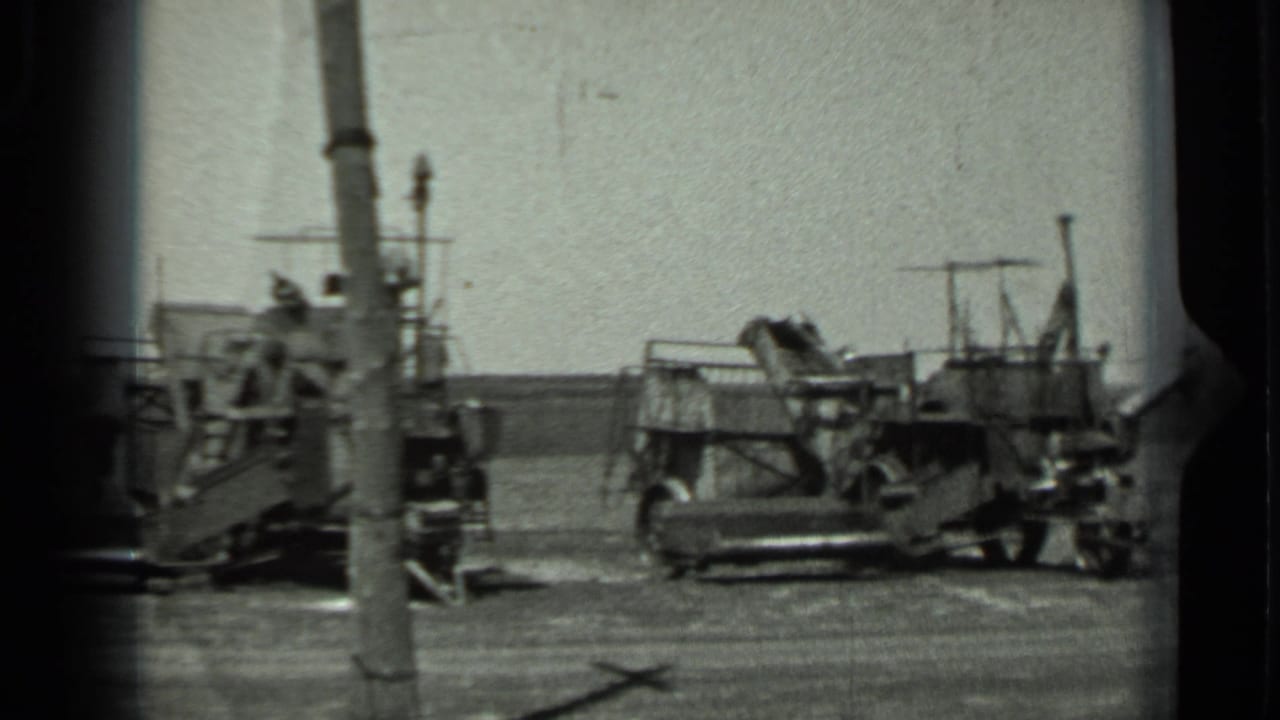 Parked military-looking vehicles in an open field with a utility pole in front.
