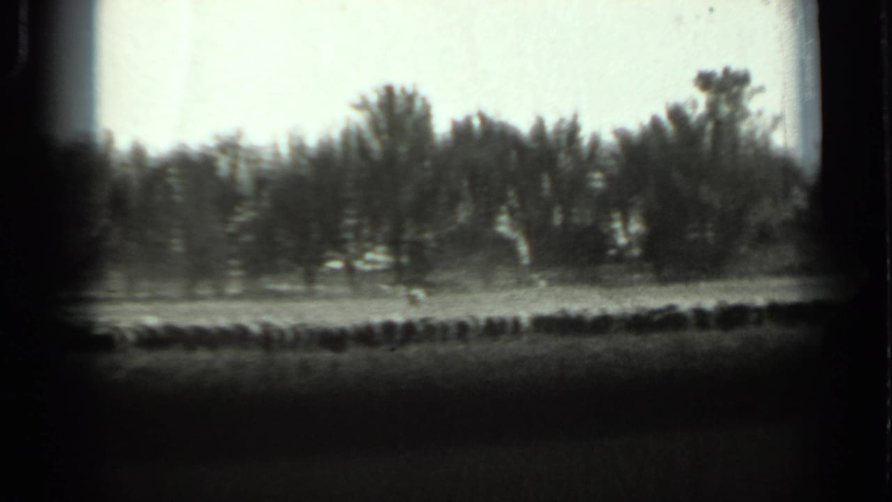 1963 Russia 8mm frame with a distant tree line, open field, pale sky, and heavy dark film border.