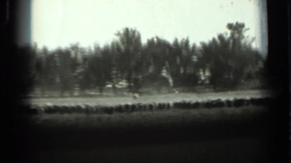 1963 Russia 8mm frame with a distant tree line, open field, pale sky, and heavy dark film border.