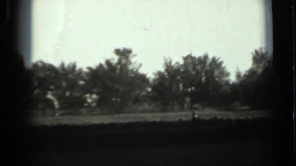 1963 Russia 8mm frame showing trees and open ground with a possible small distant figure near the center.