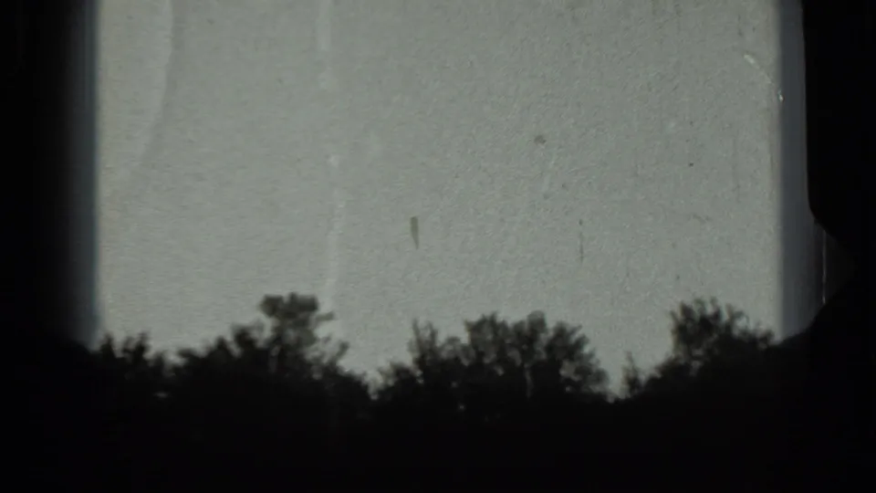 1963 Russia 8mm frame with dark bushes and low horizon forms below a pale sky, marked by grain and small scratches.