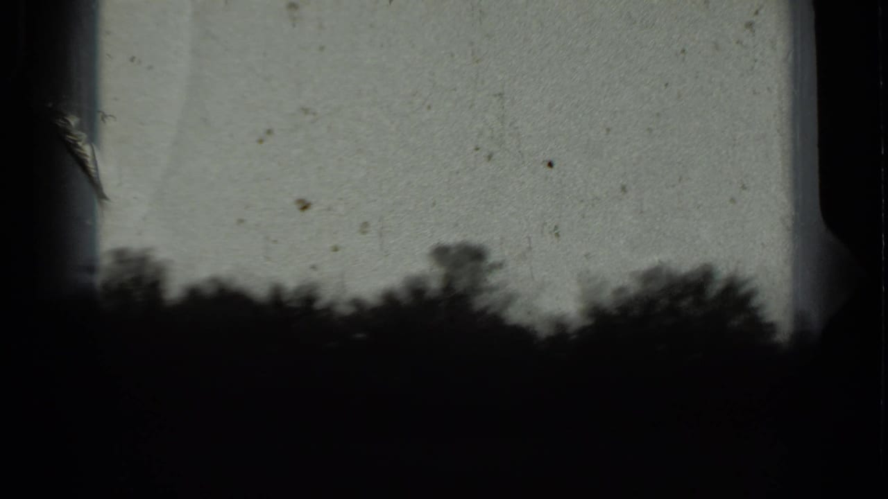 Dark tree line and pale sky framed by black film borders.