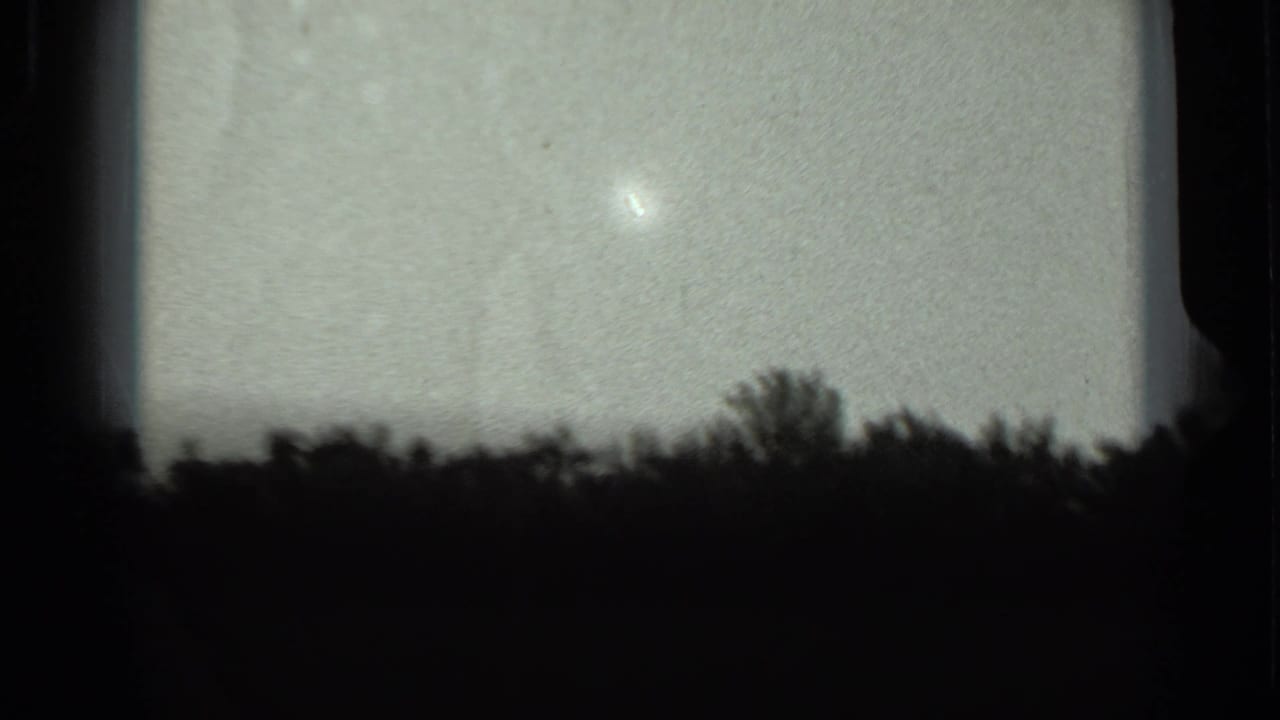 Pale sky above a dark tree line with heavy frame edges.