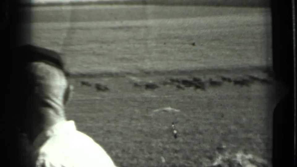 An adult man in a cap appears at the edge of a 1963 rural Russia field scene, with distant cattle across the background.