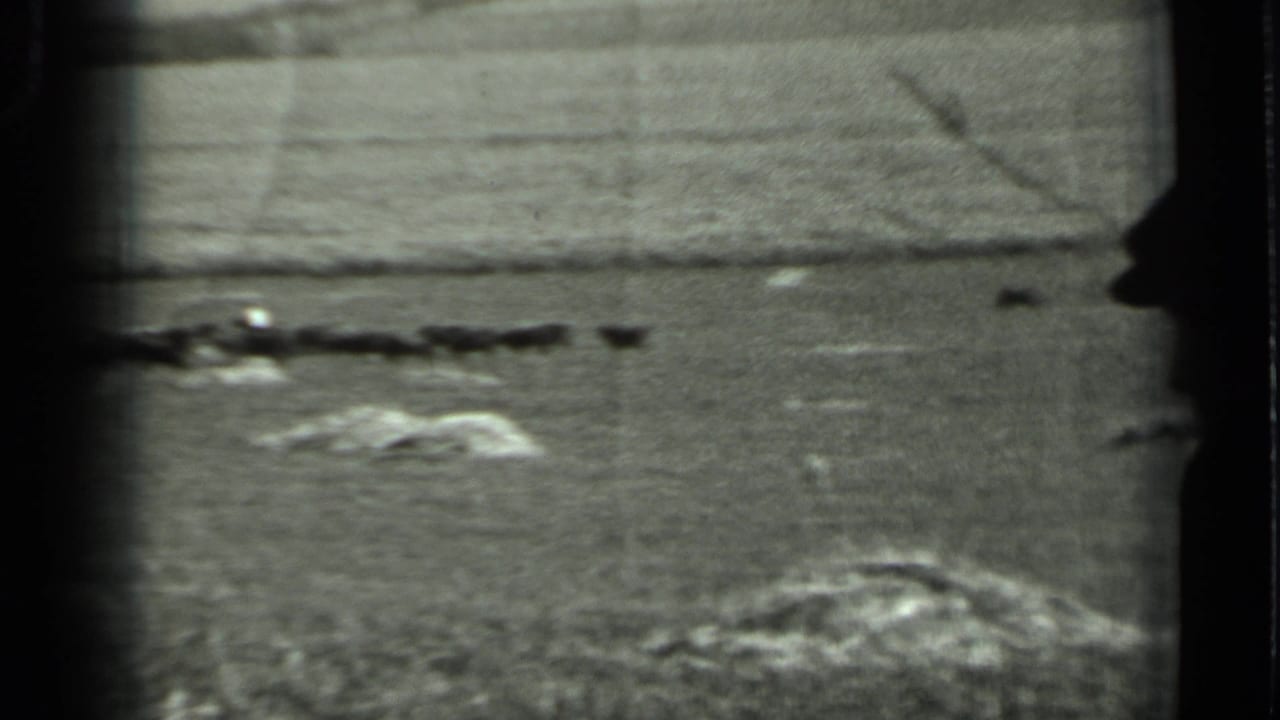 1963 Russia home-movie frame showing an open rural field, low rocks, distant horizon, and a dark horizontal line in the middle distance.