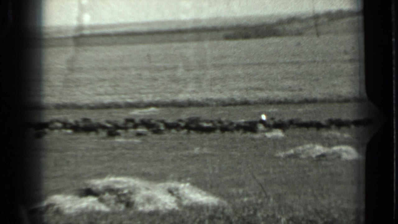 1963 Russia home-movie frame of a flat rural landscape with rocks, a distant horizon, and indistinct dark objects crossing the middle ground.