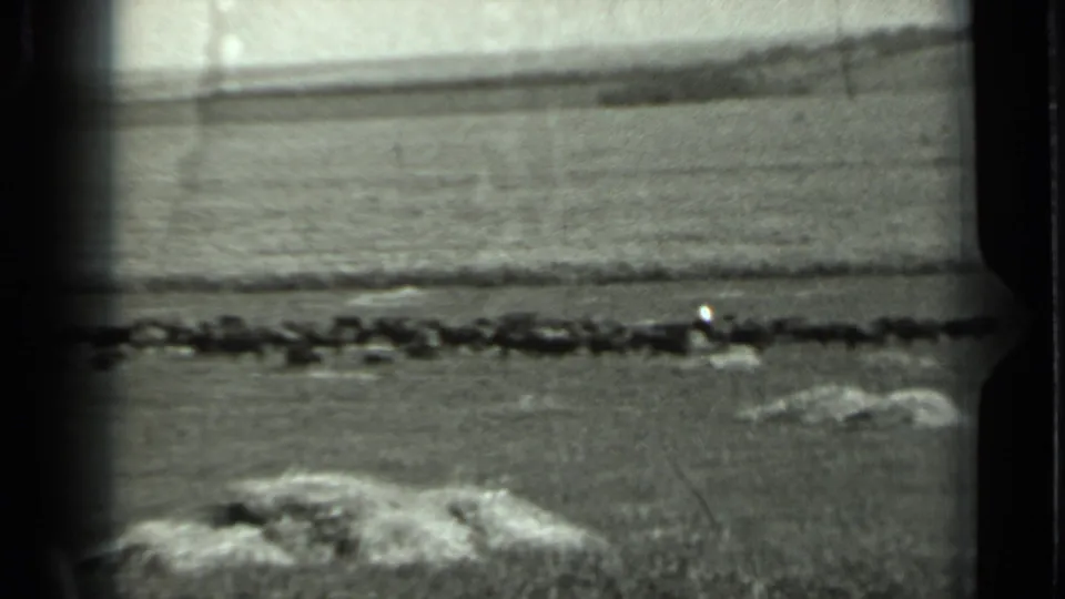1963 Russia home-movie frame of a flat rural landscape with rocks, a distant horizon, and indistinct dark objects crossing the middle ground.