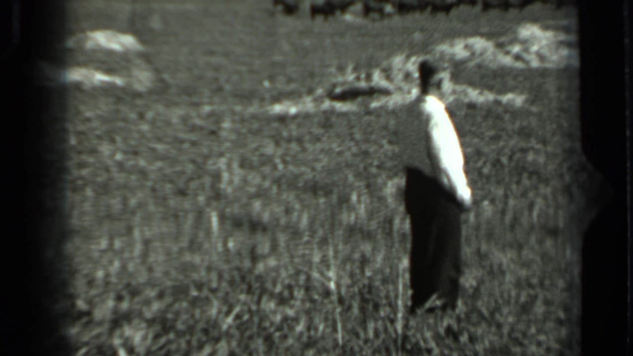 A man in a light shirt and dark trousers appears in profile in a rural field in 1963 Russia footage.