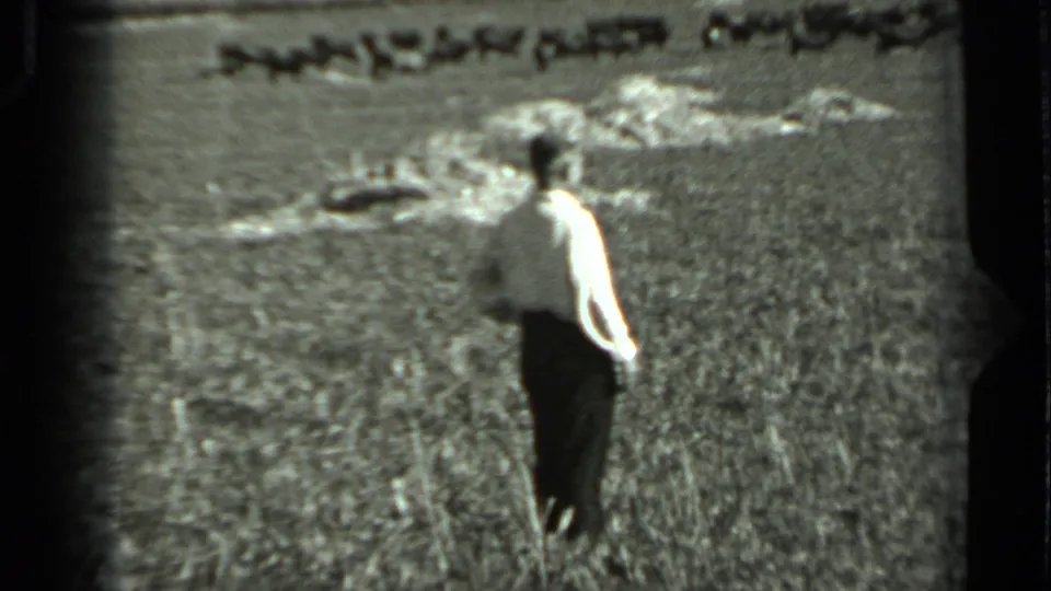 The man walks away across tall grass in 1963 Russia footage, with a distant herd near the far edge of the field.