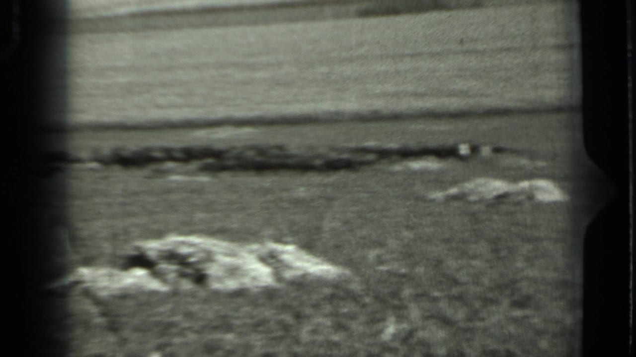 1963 Russia 8mm frame of an open rural field after the walking man has moved out of view or beyond the crop.