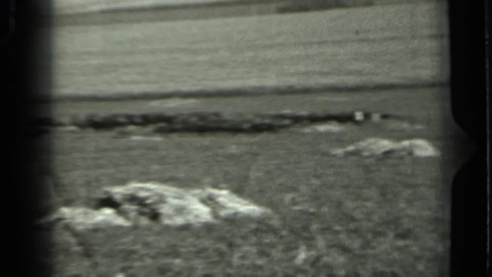 1963 Russia 8mm frame of an open rural field after the walking man has moved out of view or beyond the crop.