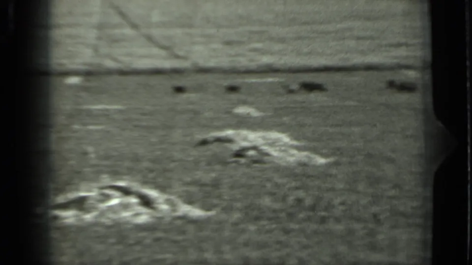 1963 Russia 8mm frame showing uneven grassy terrain, scattered pale patches, and small dark shapes across the distance.