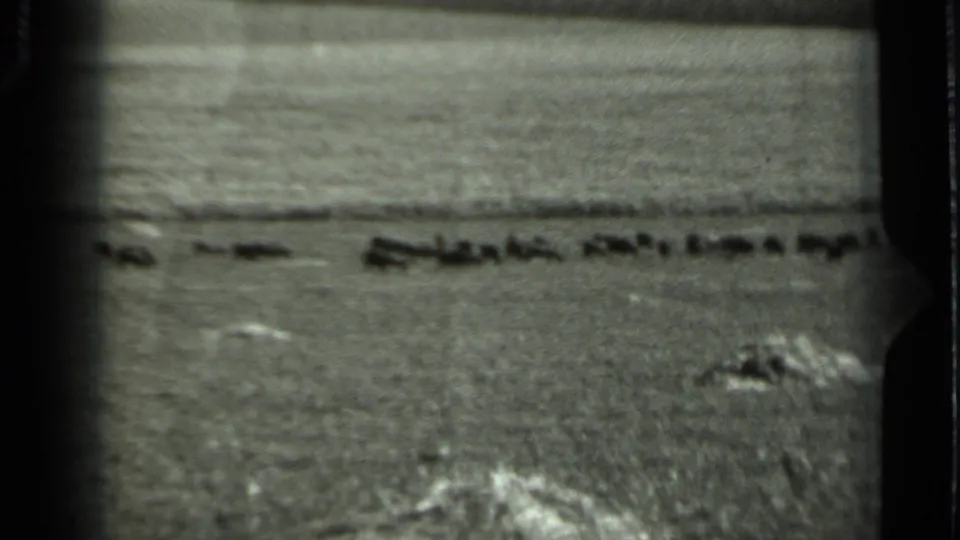1963 Russia 8mm frame of a grainy rural field with bright foreground grass, pale ground marks, and dark distant forms.