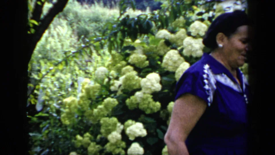 The 1948 New York 8mm frame catches the woman partly at the edge of the shot as she walks past pale flowering shrubs in a bright garden.