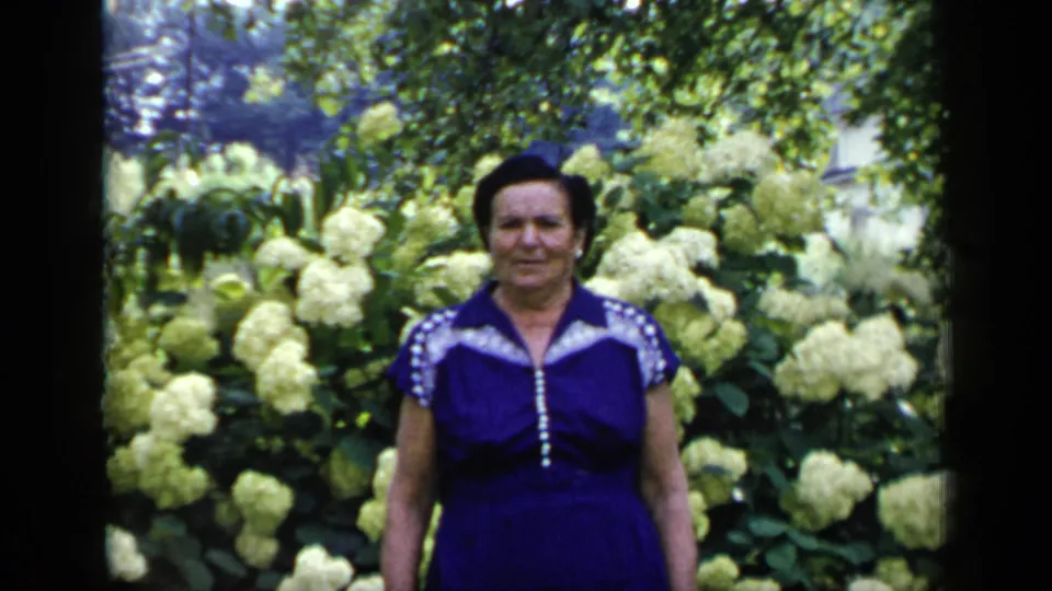 Centered portrait of an adult woman in a blue dress before white hydrangeas and green foliage in 1948 New York home-movie footage.