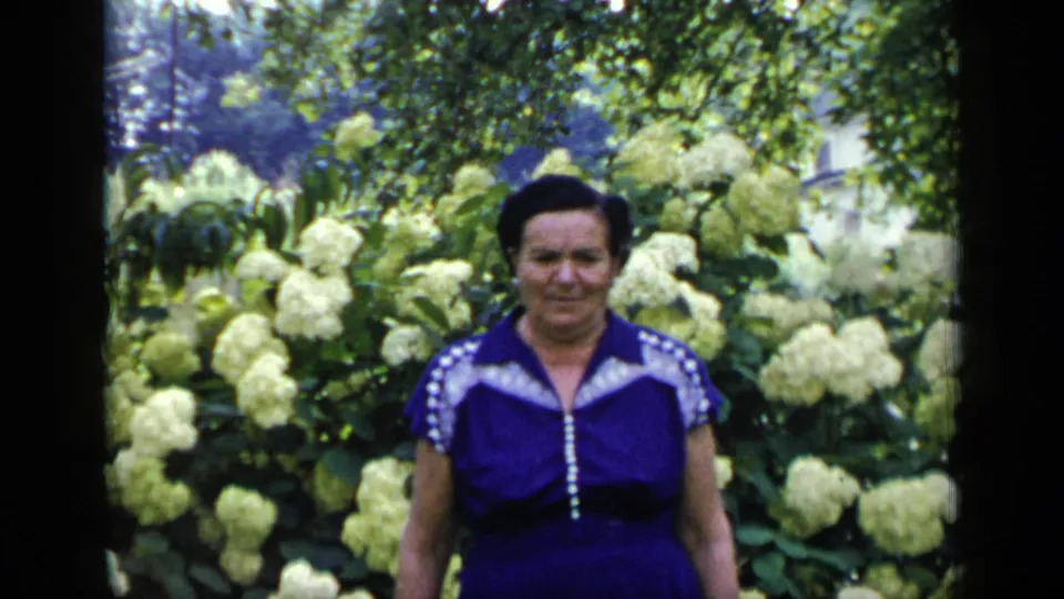 Adult woman in a blue dress stands closer to the camera against white hydrangeas and foliage in 1948 New York 8mm footage.
