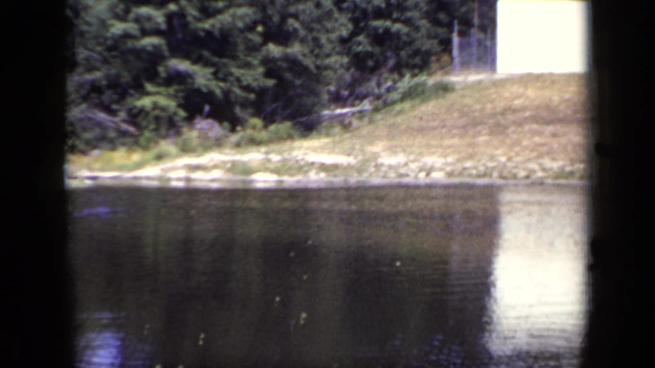 Pond water reflecting a white rectangular structure on a grassy far shore with trees behind it.