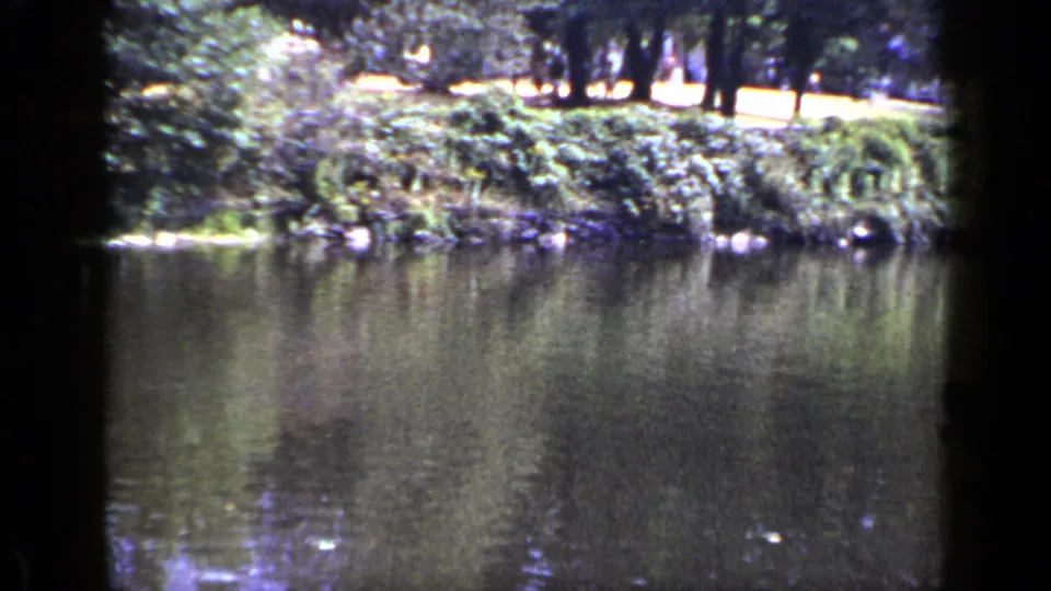 1948 New York 8mm frame of a still pond bordered by dense shrubs, trees, and pale grass beyond the bank.