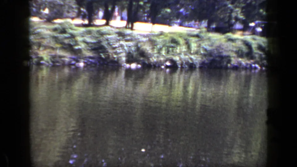 1948 New York 8mm frame showing pond water below a thick green bank with trees and sunlit grass behind it.