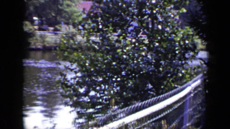 1948 New York 8mm frame showing a chain-link fence, dense lakeside foliage, and water beyond during a handheld pan.