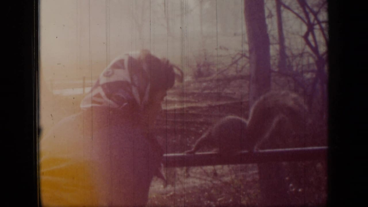 Man bends near a chain-link fence with a squirrel in a wooded outdoor setting.