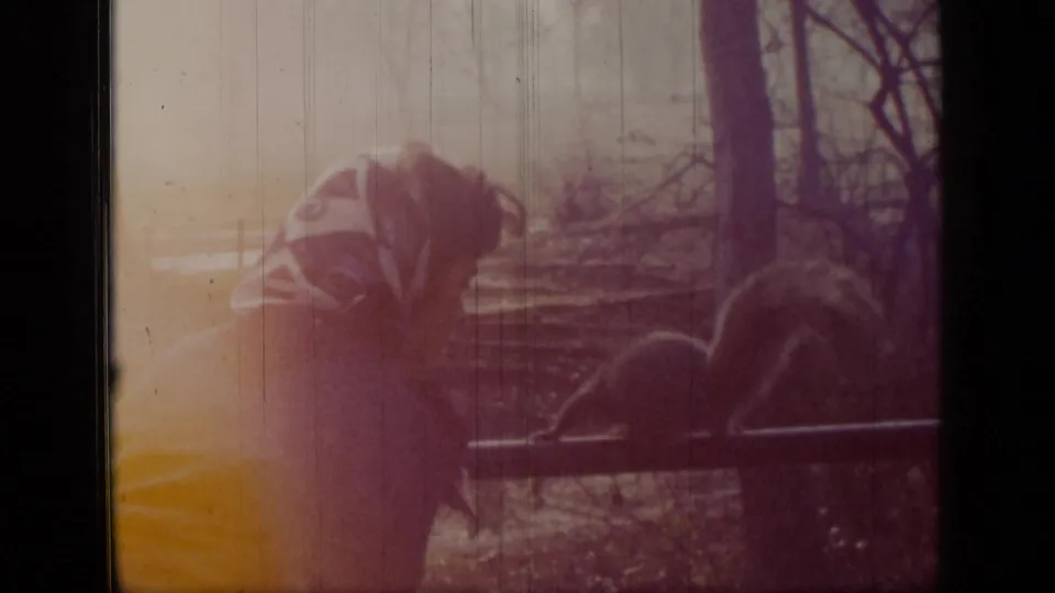 In 1948 New York 8mm footage, a man bends toward a chain-link fence where a squirrel is visible among trees and brush.