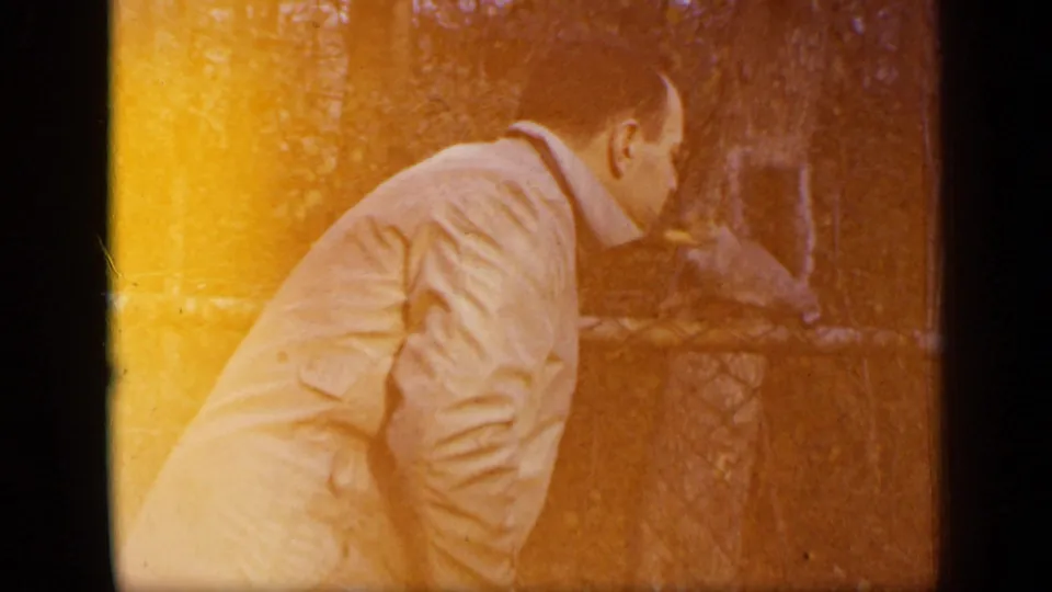 Orange film flare washes over the frame as the man leans toward the squirrel beside the chain-link fence.