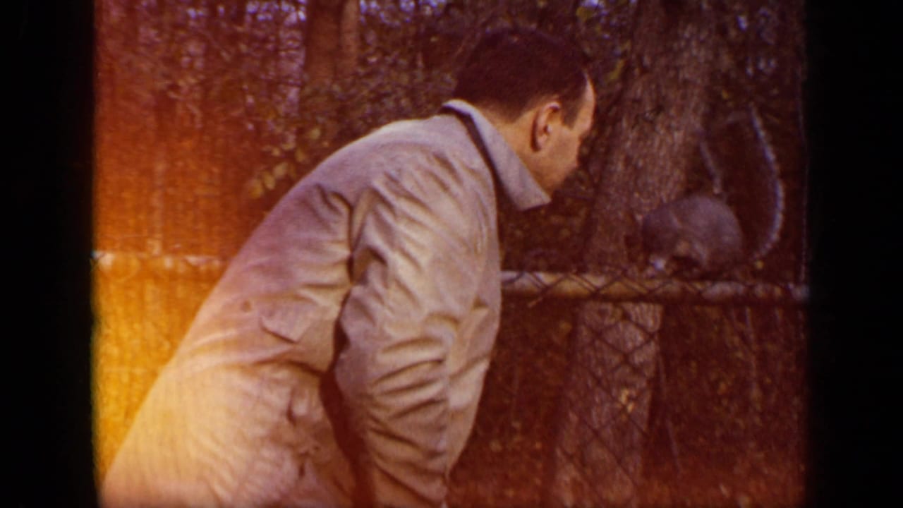 Man in a light coat leans toward a squirrel behind a chain-link fence in a wooded area.