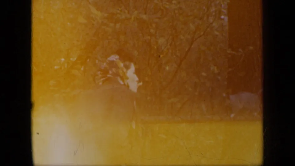 The 8mm frame shows a woman bending by a chain-link fence in a wooded New York setting, partly obscured by warm exposure shifts.