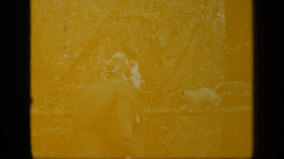 A faded 1948 New York frame shows the woman still bent near the fence, with a squirrel faintly visible through the yellow exposure.
