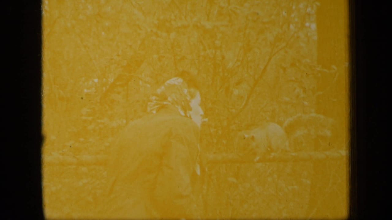 Faded yellow-tinted frame with a faint woman and squirrel near a fence in a wooded park.