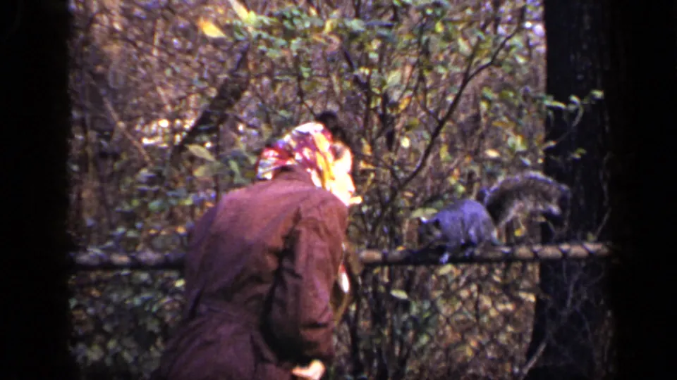 1948 New York home-movie frame with the woman leaning in from the left as a squirrel remains on the fence in a wooded park.